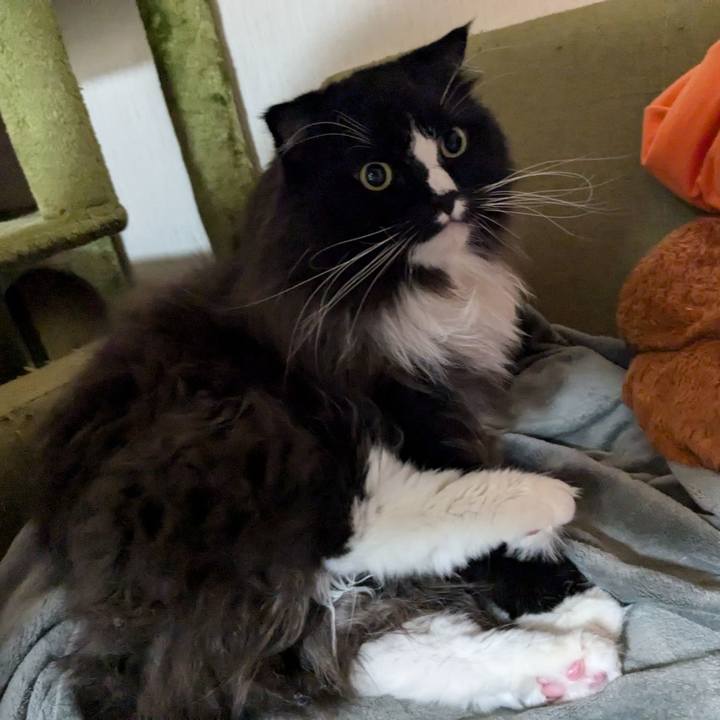 4637c149 20e0 4cbb b74c 472b96d195aa 1724453479923