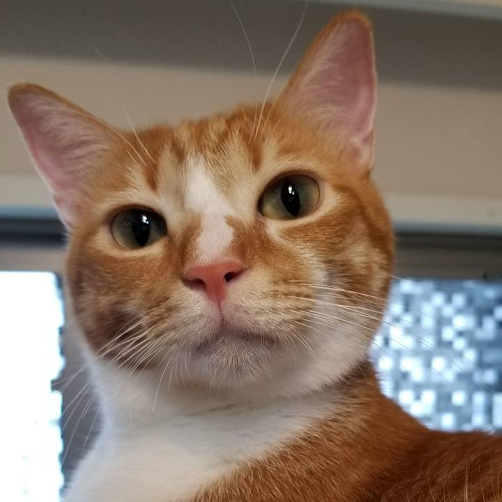 463847d0 facd 4186 a8a1 853a17da4c49 1507943227641