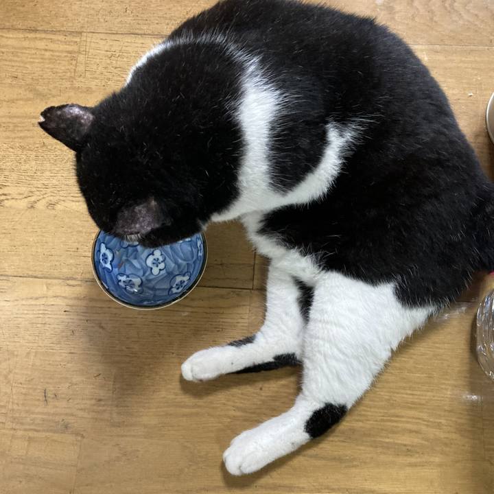 4638553d 7715 467e a1af f83843646e8e 1628723976880