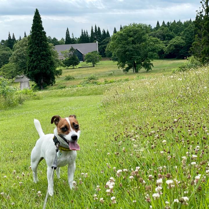 463859e2 af60 4050 8b5e 8baedc7adc4c 1657017038249