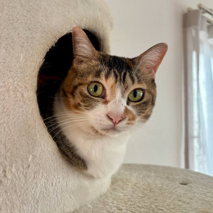 46385d9c e179 4620 963b 9fcee9cf511b 1763422274923