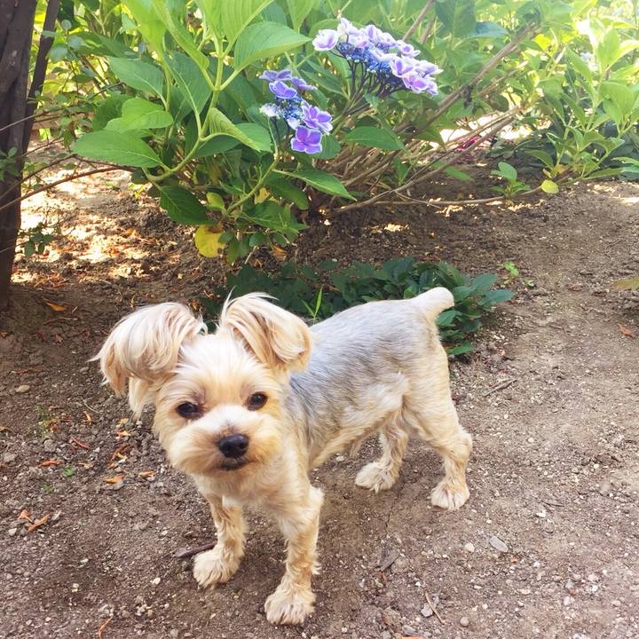 4638b06a b1ec 4c5b 8673 38571fe21abd 1532671524230