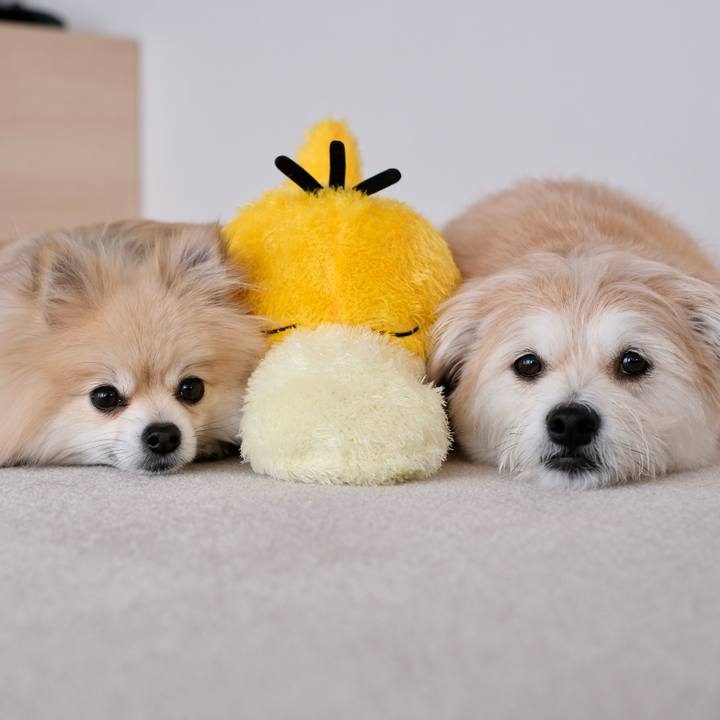 4638b08b e2e1 4eab bb50 19fa77e7192a 1774215370781