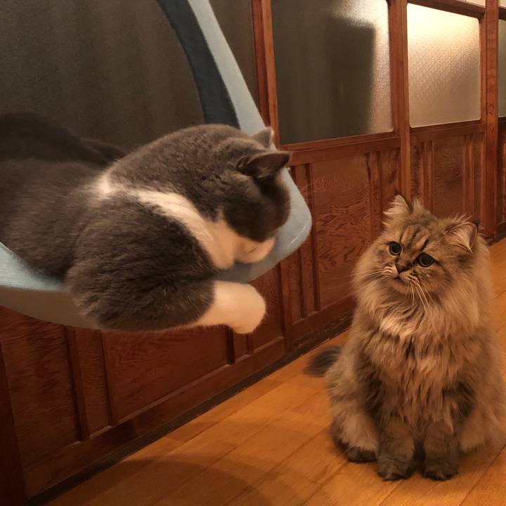 4638d92a 6ceb 4f9a adbf 008c566077cc 1570893051662