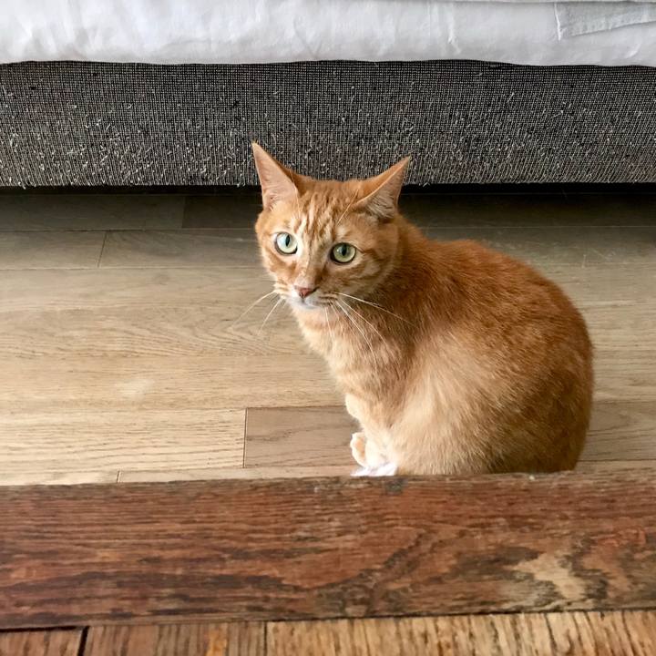 46392c1d 861f 4f42 9639 11eea52e71bd 1563867780958