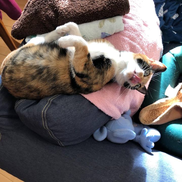 46393d57 6aa7 4c56 9c53 dea77ef9a5c9 1543027828115