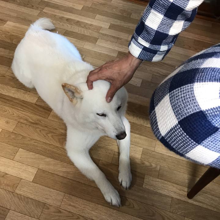 46395b46 70bb 4524 a3da 23d1abca0c56 1539468146899