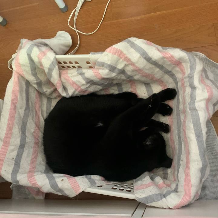 46395d5c 7ec0 4802 9ce4 83b8950bd92c 1588753018814