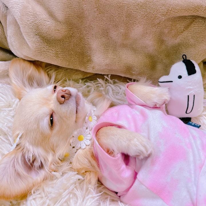 4639744d 29a8 431a 9c14 0e97a8a58ae2 1651462084486