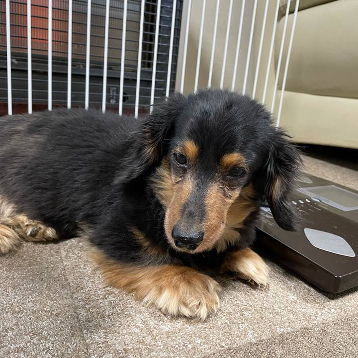 463999b5 272a 4ebf 9dd7 809407984c2a 1614635768191