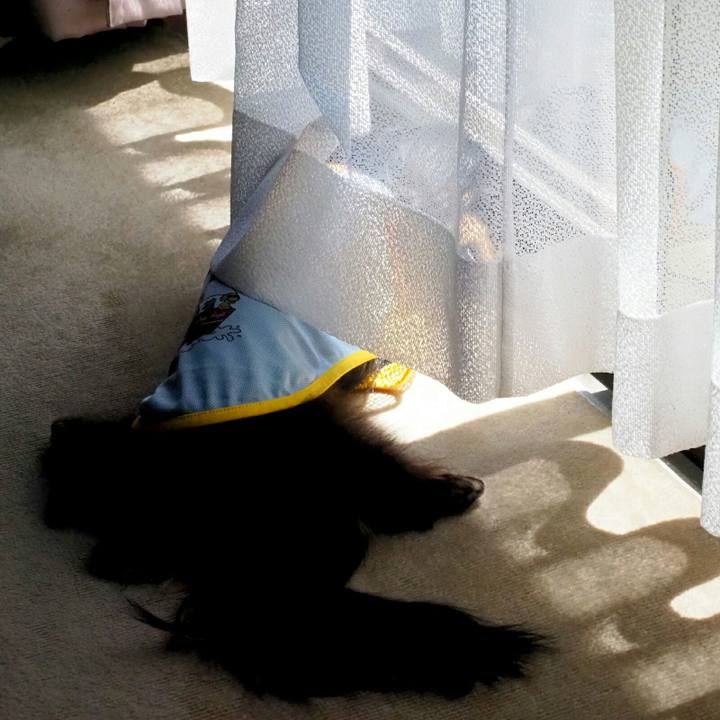 4639c8bd 9ca1 4cfa 89b3 8f8337097ae8 1534565088656