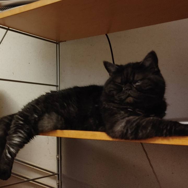 4639c8df 0979 42ca bfd8 175ba8691772 1626736359854