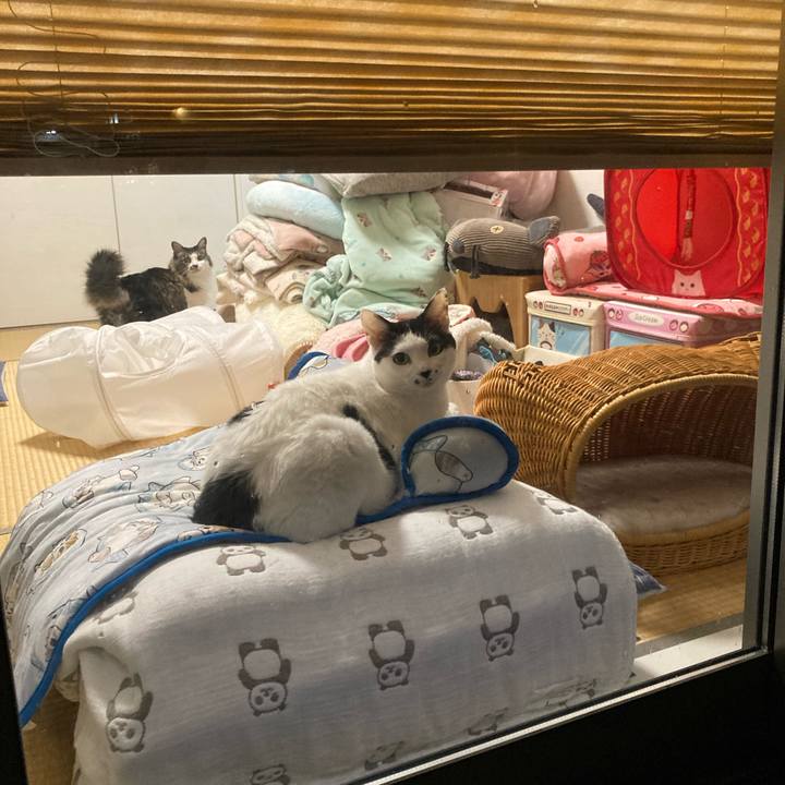 4639d0db 8160 4d62 b67f b71824dfef65 1758360717314