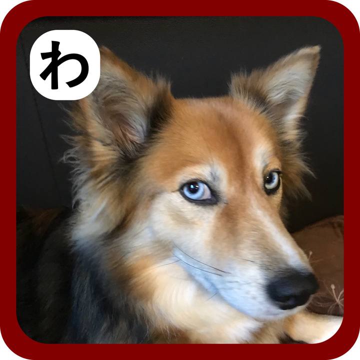 463a80c8 1e45 4b2e 9828 4b7f4c019984 1514780067712