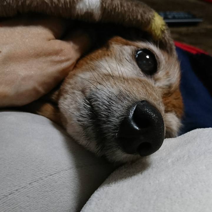 463a8da3 e08e 48e3 a686 988b6812da32 1514385179729