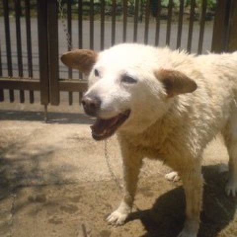 463a97c0 169d 4fc3 8f15 3991b6d180f8 1512305339771