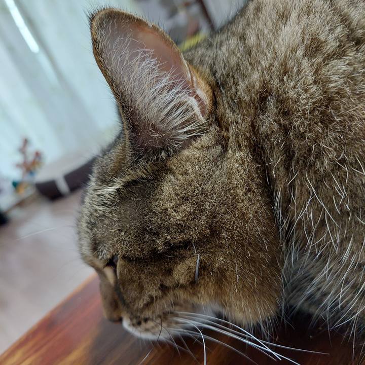 463aec59 c04c 48fc 8cce a7519d62b3cb 1635803004226