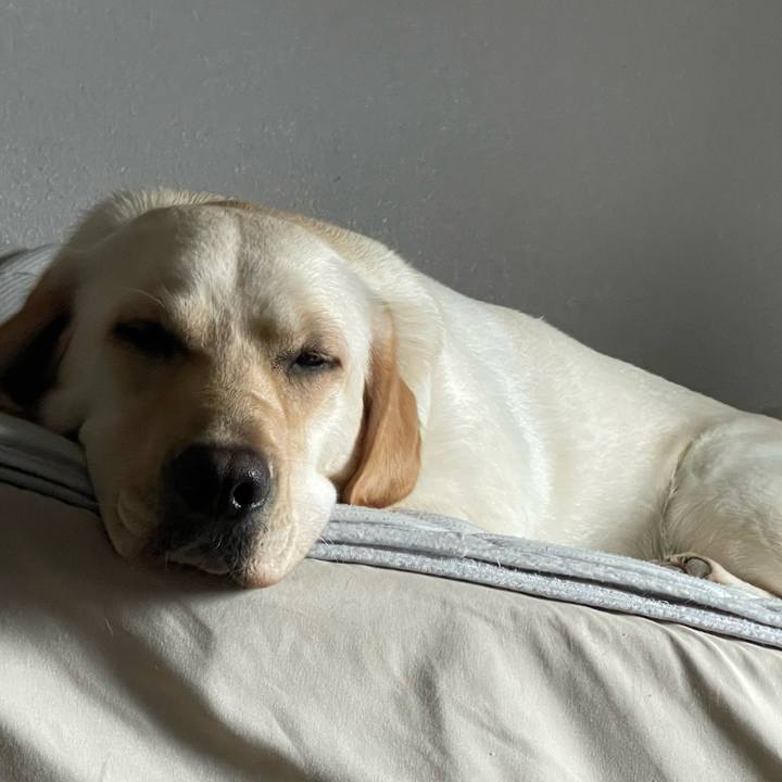 463afac0 b829 4b74 8f0a 11e1d2e680c2 1654911195745