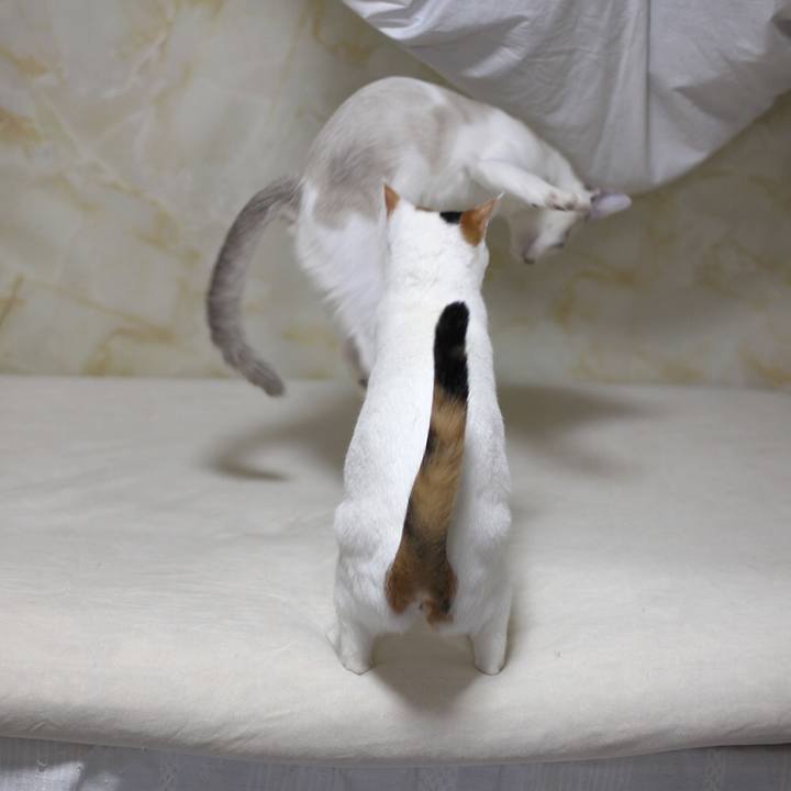 463b1784 22f8 41ca bab1 4ad3eb6dcf56 1612780415384