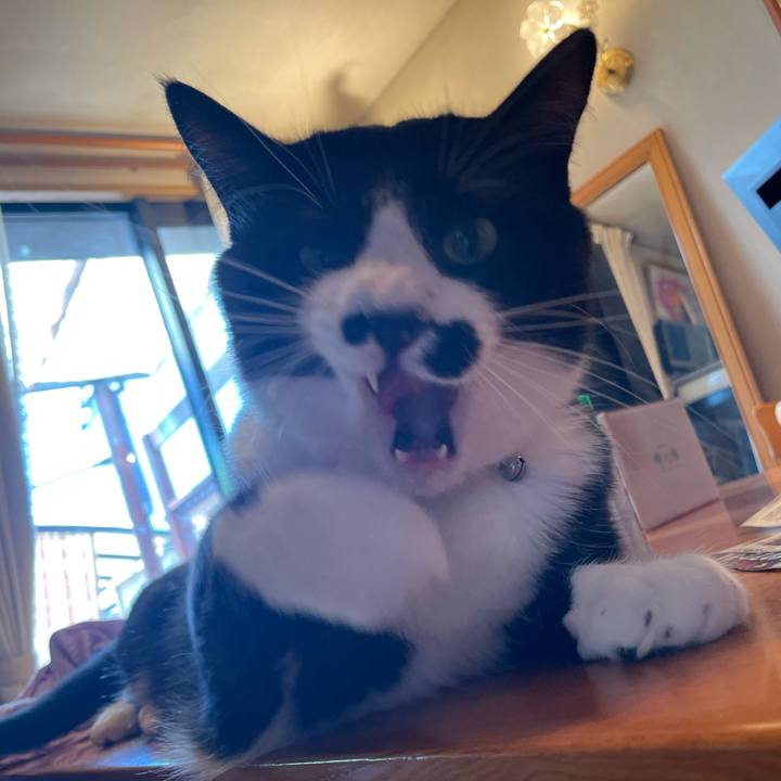 463b1cab e363 4fd6 a122 80951c5a6ac9 1653788847573