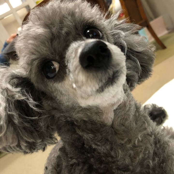 463b205c 418b 460c 87db 58e7f8f4e7e8 1590917989833