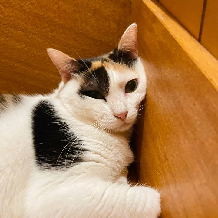 463b2c49 a83c 4669 8843 25e1cdae1100 1630810100947