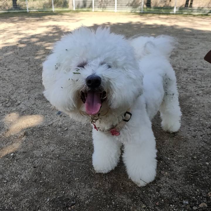 463b310f 13a9 4bef 97b9 257fce9e53c8 1761798952890