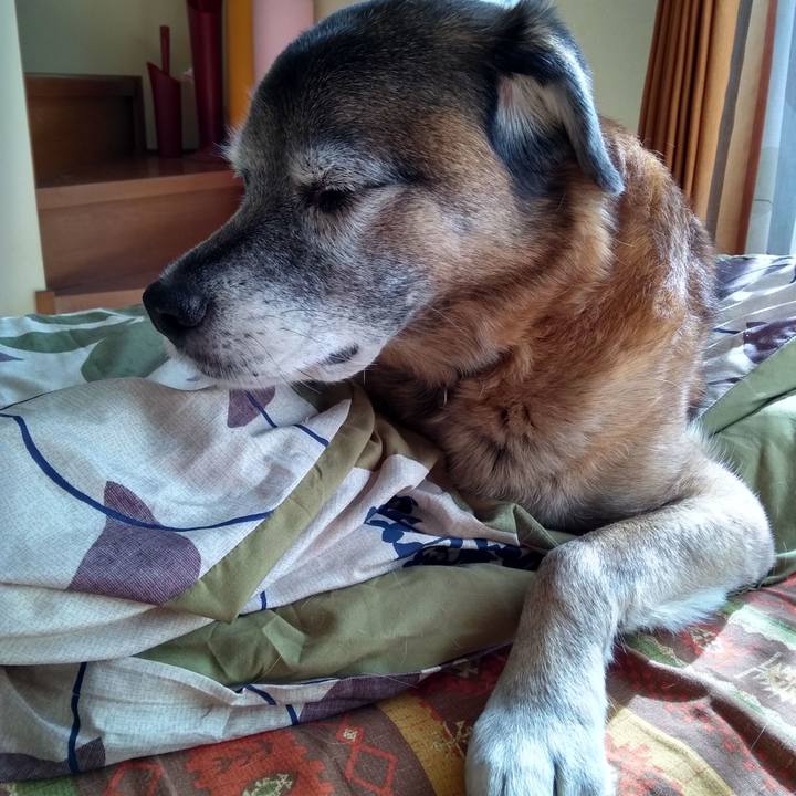 463b51f0 10f9 417f b5a7 ca89bc71785d 1549938773938