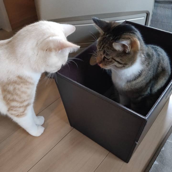 463b5859 2dbc 4023 bf5f 0320d1c7cf56 1669767209867