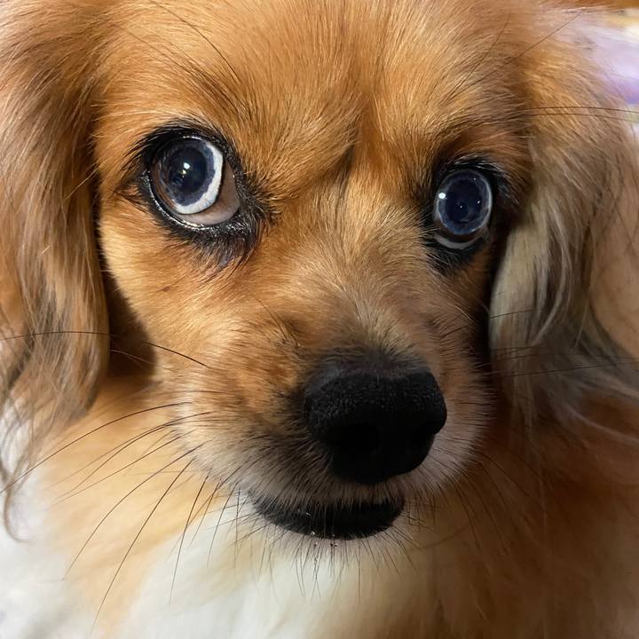 463b98ee 2d39 4460 8cc4 6238084d4ebf 1633988759141