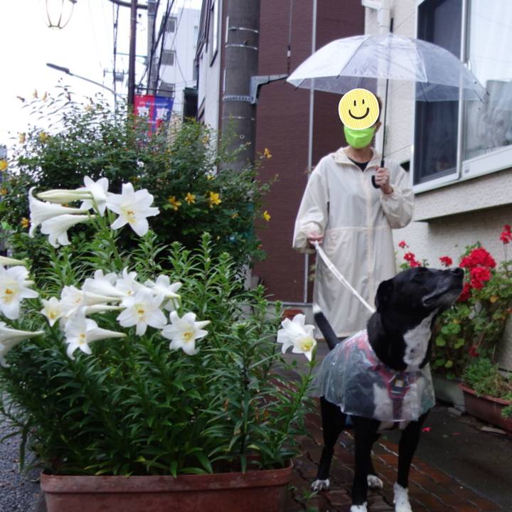 463b9926 5264 485b 8396 b8cf9c656c54 1655204659614