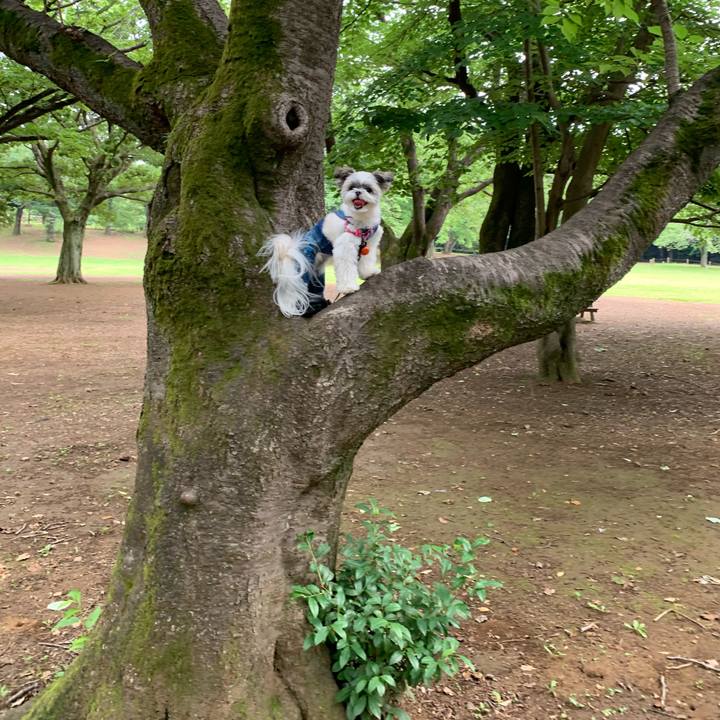 463bbe72 e942 451f 8ac9 824d27738709 1623068131845