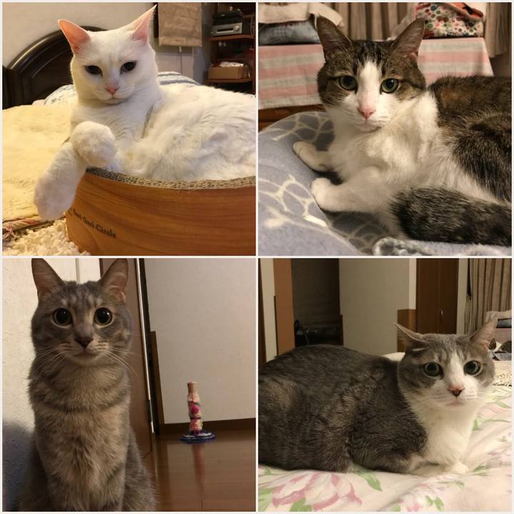 463bbf1c 6d50 48d0 b084 8e3e93bf9c37 1526309200400