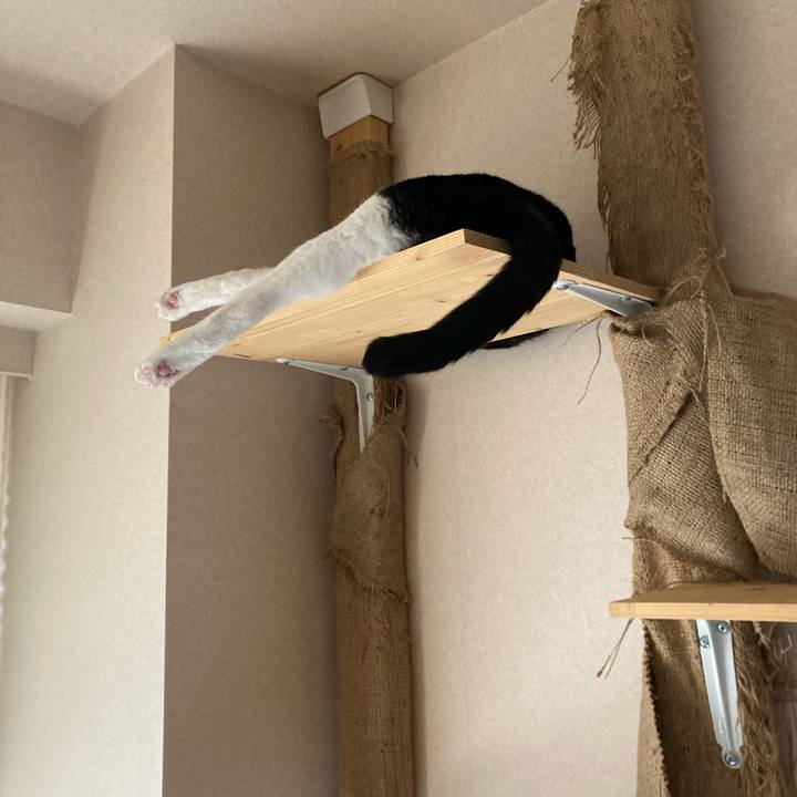 463bd14f bbb2 4d31 84fc 3a28019bc71a 1658467828377