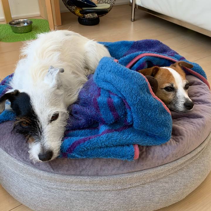 463c1683 b26d 41c4 a592 ecfe73a56724 1634947119961