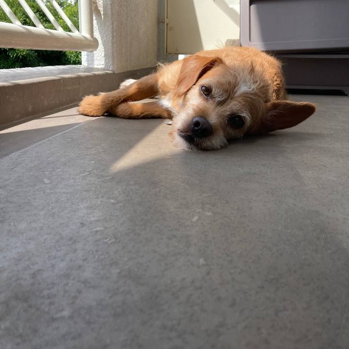 463c9051 6da9 4149 a387 685350d47eb1 1660532767923