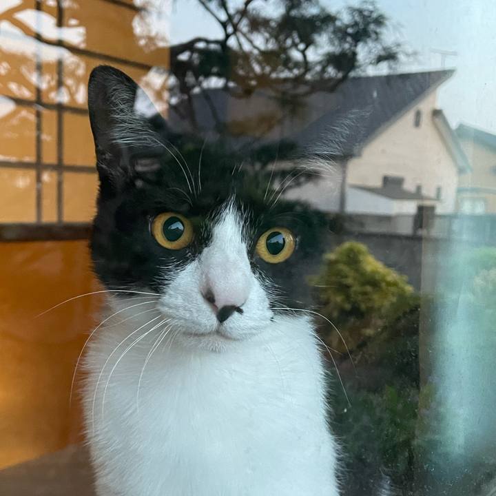 463cdd70 231b 4d10 9d4c 5e5e95b2d66b 1683633718399