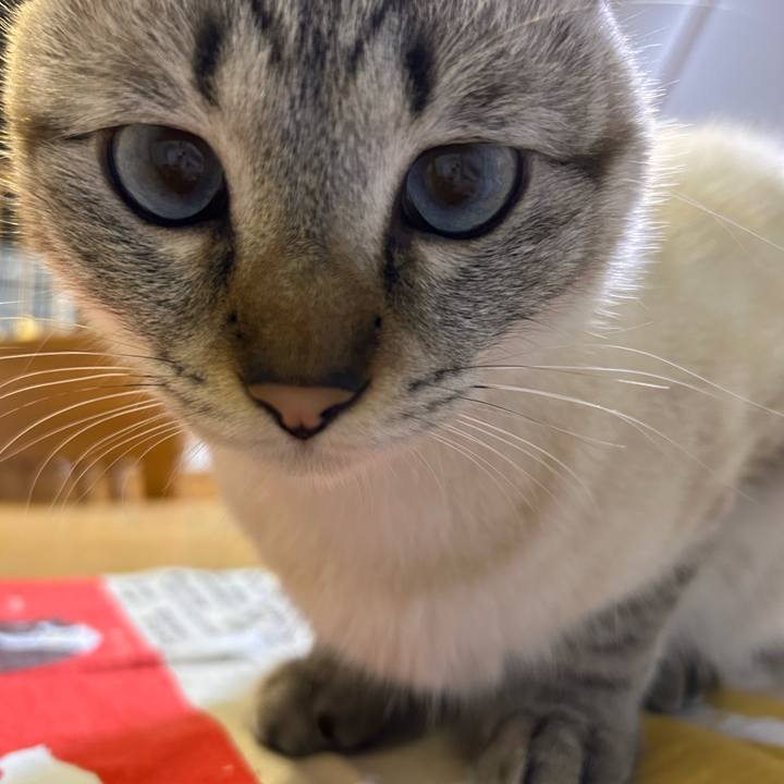 463ceaf7 479c 4f88 a830 8a6f44c5e7b4 1765114285983