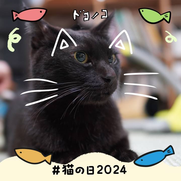 463d1b73 cd56 4e17 b1b7 892a41fc32c5 1708577524088