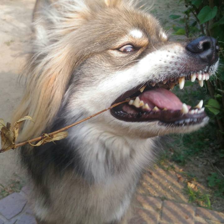 463d383b 4c5e 44b3 b13b fe094d5f6e84 1531901902810