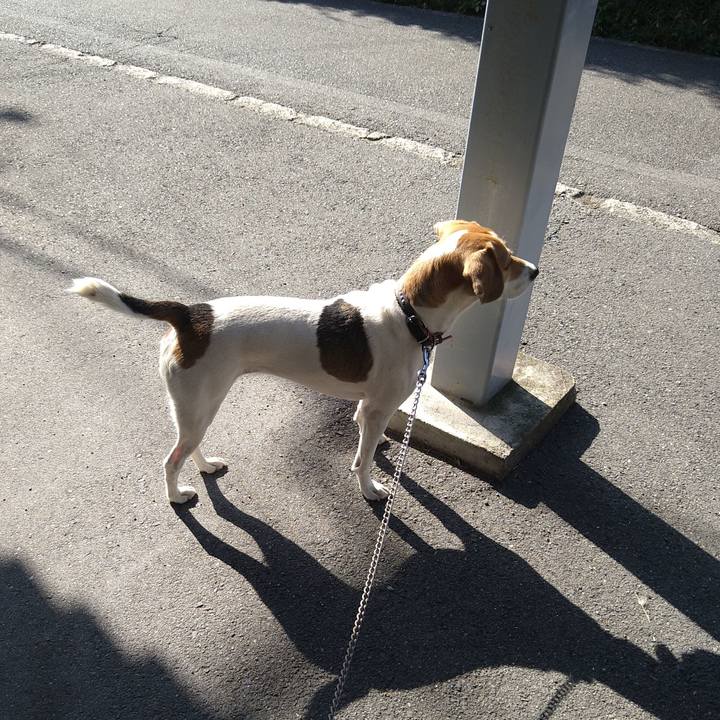 463d5e21 1d15 4101 ad8c 1e1a241bd16c 1634996640355