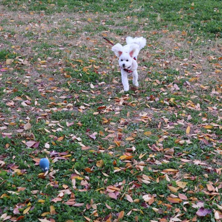 463d7b47 71d7 48cc 94bb 7fc714e7e18a 1575629021353