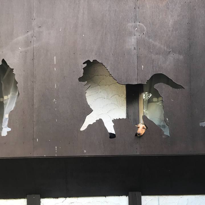 463d92e4 44a0 4dde b12e 6cb2884226e3 1538999823740