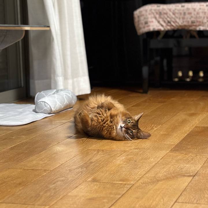 463d9496 eb36 46c7 9958 a460e9ae28fa 1752729990348