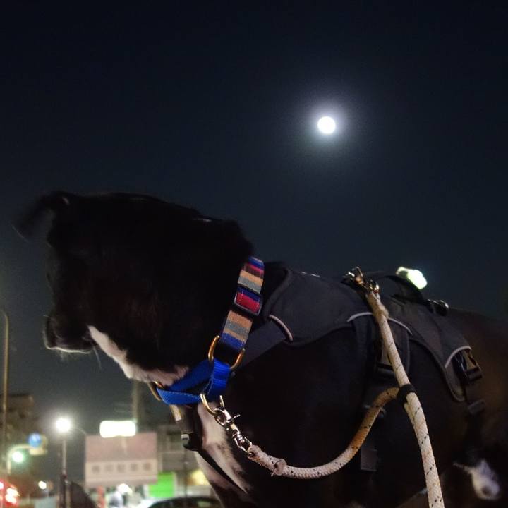 463dd539 97e3 4311 95ef 0d3206670585 1637232678330