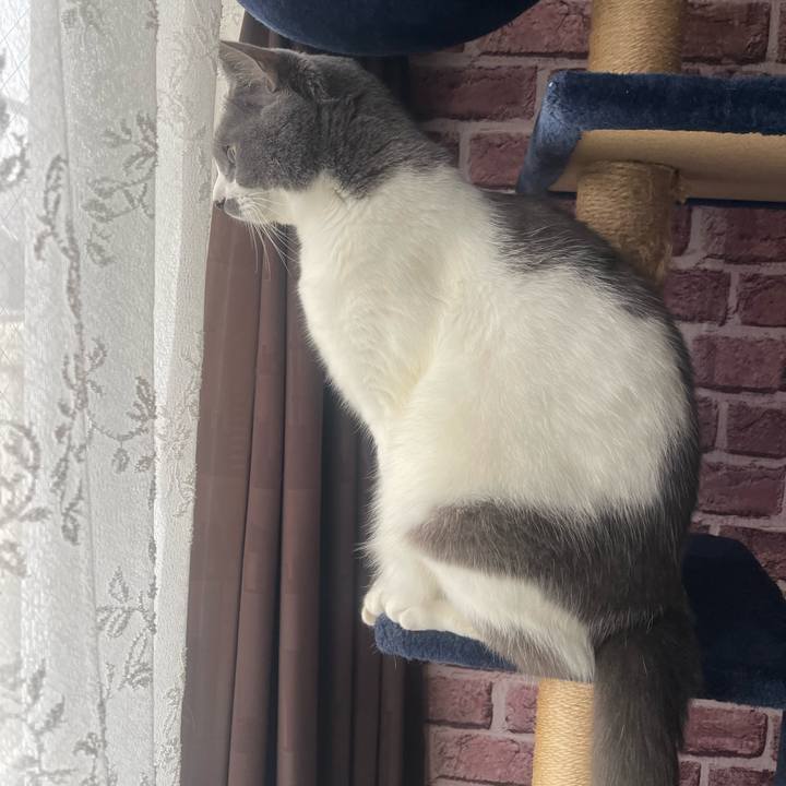 463df94c 20c0 4017 bf18 bf3ba87e852d 1731720131156