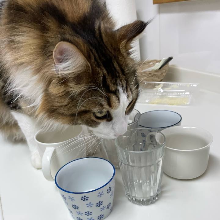 463e0d2e 3bf0 4476 8d1c 3009be7aee1e 1655988100731