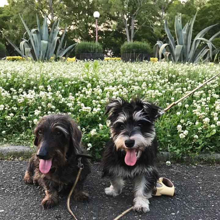 463e2a80 8738 46cd 83bf 716d9b1a01f8 1557665909981