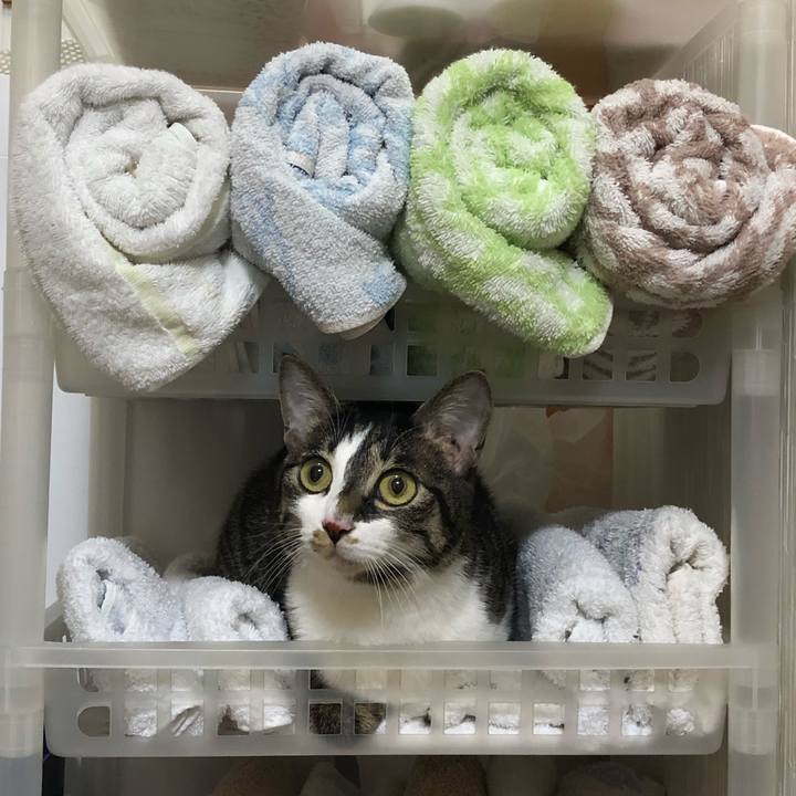 463e3f52 b5ab 4396 bdee 255907237fed 1553630073899