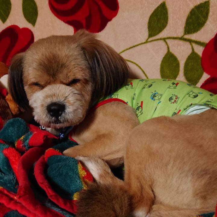 463e45c4 d3f7 4ef5 b8e2 fc58e44118cf 1552945613097